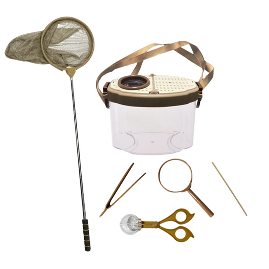 Terrarium d’Observation – Kit Nature