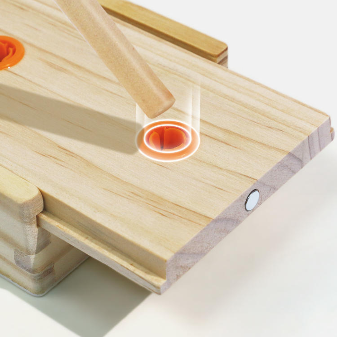 Tour de Hanoï en Bois Naturel : Casse-Tête Mathématique et Éveil Logique 10 Étages